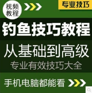 钓鱼视频教程 钓鱼技巧实战宝典钓技培训基本功路亚钓法教学大全