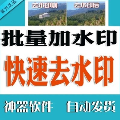 批量防盗水印制作软件加水印软件图片去水印工具快速去水印标签
