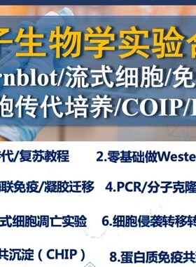 分子生物学细胞生物学教程生物实验干细胞国外视频教程