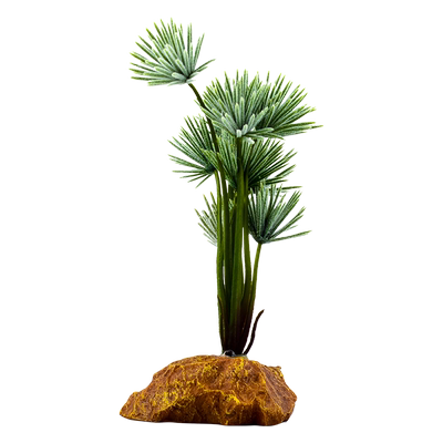 爬虫爬宠造景植物蜥蜴变色龙