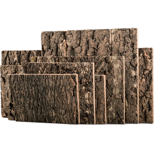 树皮背景板爬宠缸陆龟树栖造景爬虫箱原木爬缸蜥蜴蛇微景观雨林