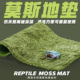 爬宠莫斯地毯角蛙垫材爬虫饲养箱雨林缸造景两栖饲养盒保湿 地垫