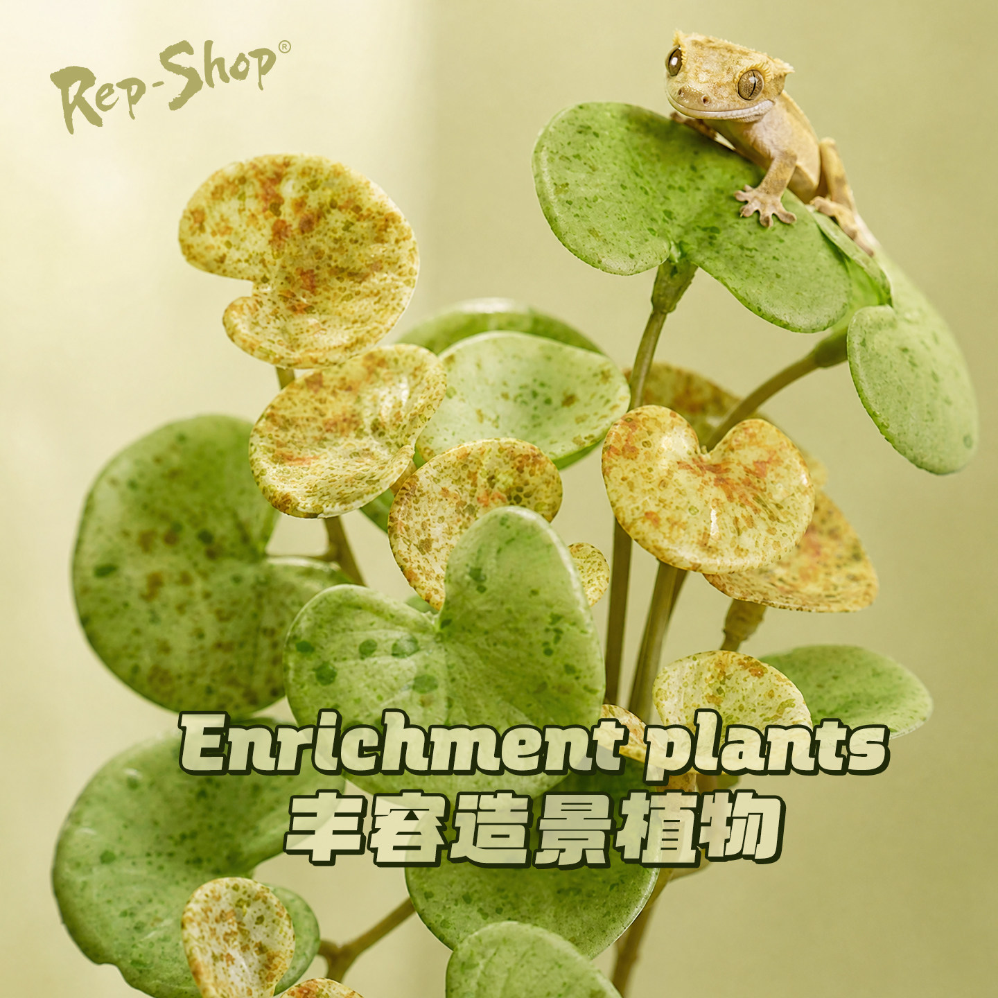 爬宠吸盘款仿真植物造景睫角守宫蜥蜴蛇饲养箱攀爬绿植藤蔓装饰