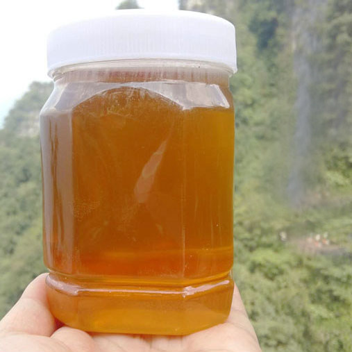 正宗天然土蜂蜜湖北宜昌长阳农家自产老蜂糖纯深山野生百花蜜500g