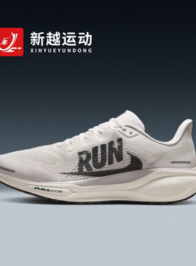NIKE耐克 Pegasus 41 飞马41灰白色男子公路训练跑步鞋IB5697-100