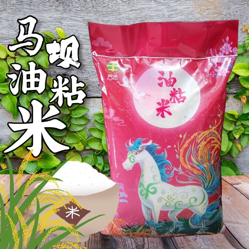 广东韶关马坝油粘米长粒