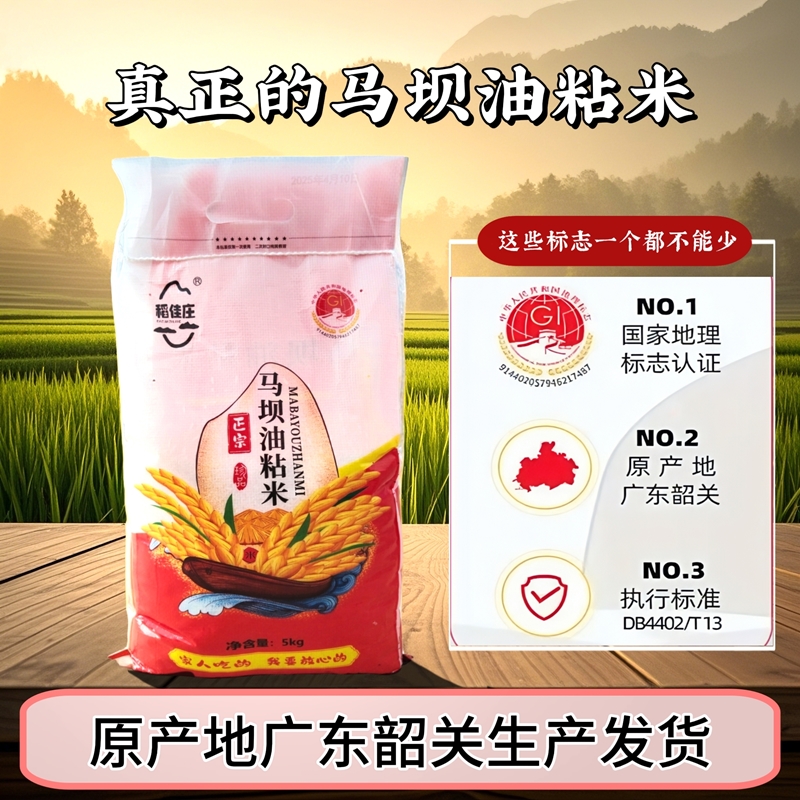 韶关特产马坝油粘米5kg2025新米清香软糯油粘米籼米煲仔饭专用米