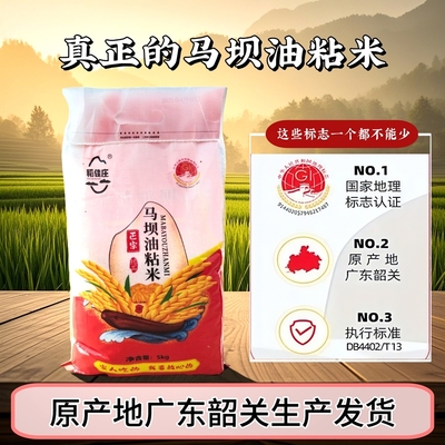 韶关特产马坝油粘米5kg2024新米清香软糯油粘米籼米煲仔饭专用米