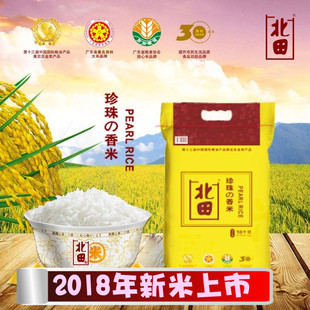 北田牌珍珠香米 水晶珍珠米 东北大米10kg 新米 广东省内包邮