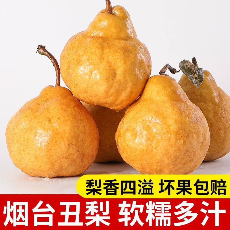 2026年山东烟台中华丑梨当季梨子太婆梨整箱新鲜批发多汁