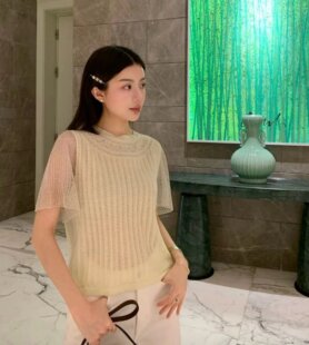 D to一眼沦陷针织短袖～带碎银细闪～低调又显贵超美