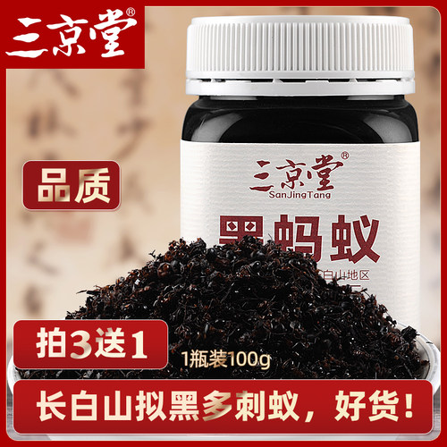 长白山黑蚂蚁三京堂拟黑多刺蚁