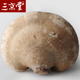 三京堂白灵芝长白山整枝白灵芝片林芝玉芝切片野外生长250g