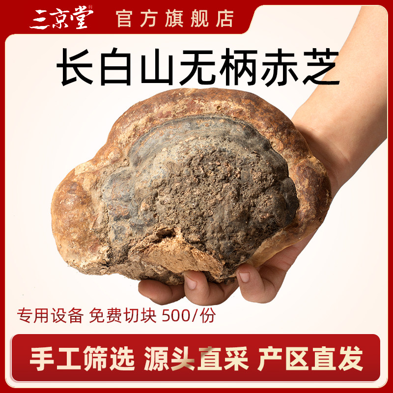 三京堂灵芝片无柄赤芝整枝赤灵芝深山林芝切片野外生长灵芝500g