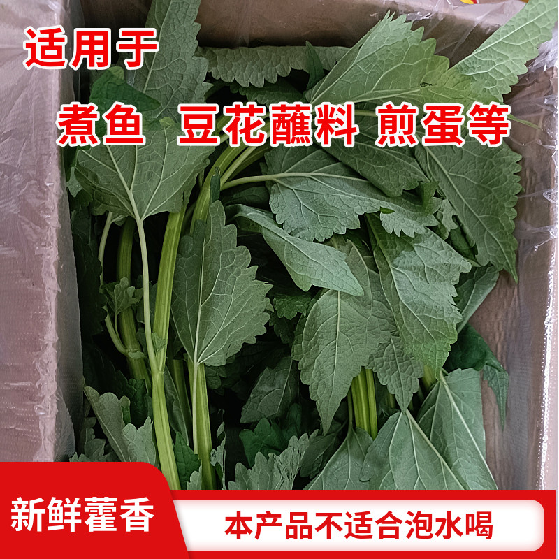 【顺丰快递】四川藿香叶新鲜芭蒿合香茴香鱼香叶荷香五香叶鱼调料