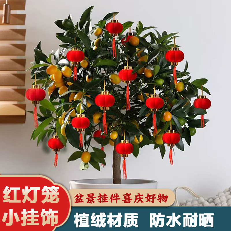 新年装饰小灯笼乔迁结婚盆景
