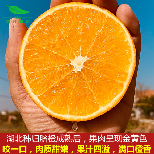 甜橙子湖北宜昌水果10斤