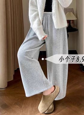 灰色阔腿运动裤女秋冬季新款小个子梧桐裤150cm九分卫裤萝卜裤xs8