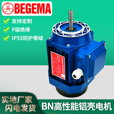 BEGEMA电机220V耐高温长轴电机