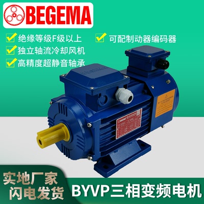 BYVP卧式三相电动机变频调速