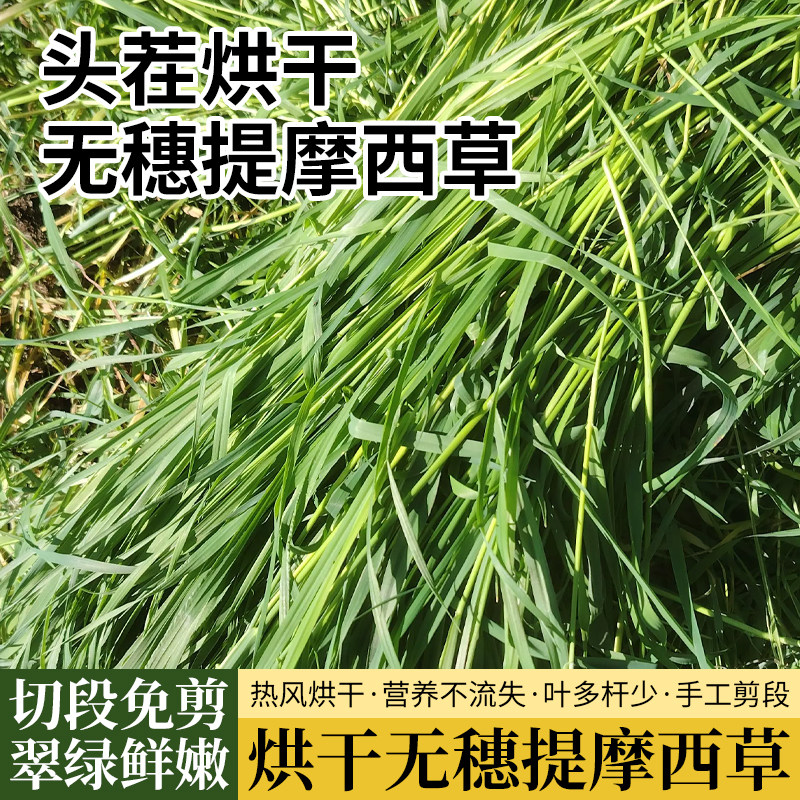 26年全叶烘干提摩西干草一箱二斤兔子龙猫荷兰猪饲料豚鼠牧草