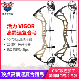 顶点 2024款 活力VIGOR 复合弓弓箭套装 高箭速弓 射程远