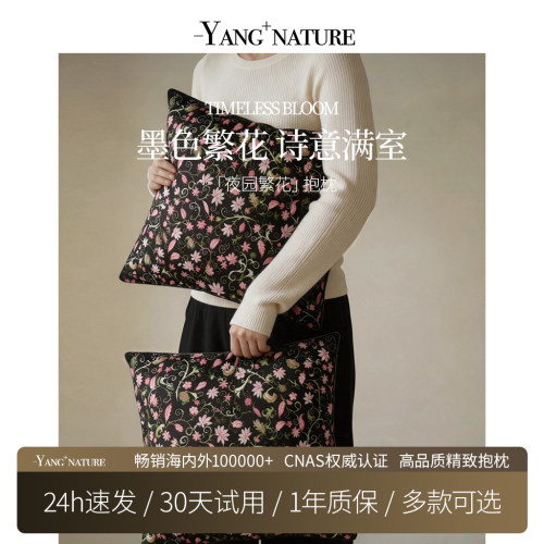 氧家新中式睡觉抱枕女生睡觉专用抱枕客厅沙发高级含芯靠垫飘窗