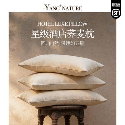 五星级酒店荞麦枕头荞麦壳枕芯助睡眠家用成人一对装颈椎枕专用枕