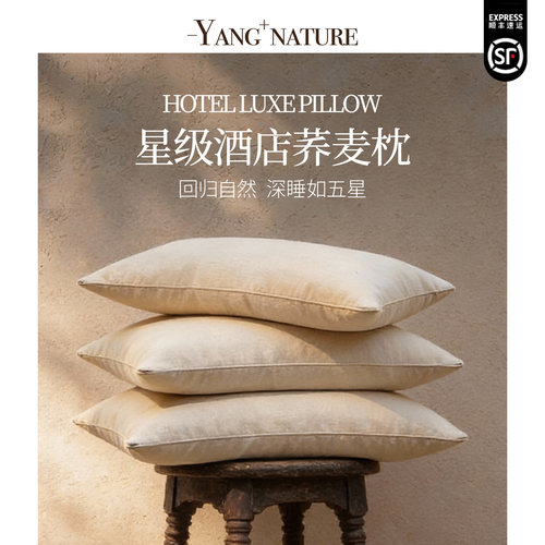 五星级酒店荞麦枕头荞麦壳枕芯助睡眠家用成人一对装颈椎枕专用枕