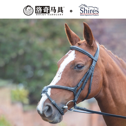 英国Shires 8字形水勒缰（Avignon）洛奇马具8218087