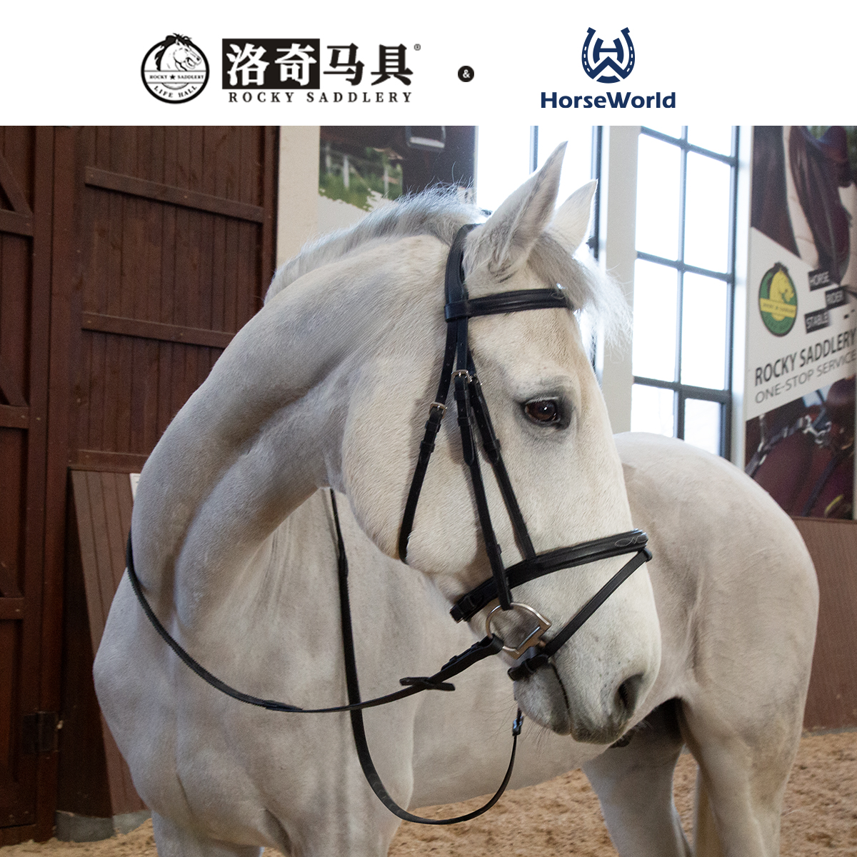 Horseworld经典牛皮水勒缰马具