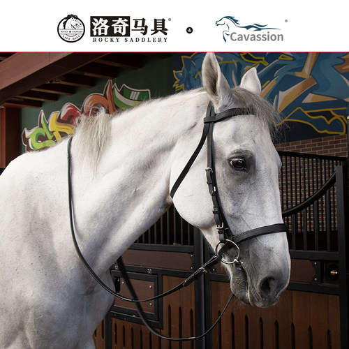 pvc水勒缰马用缰绳英式马术用品