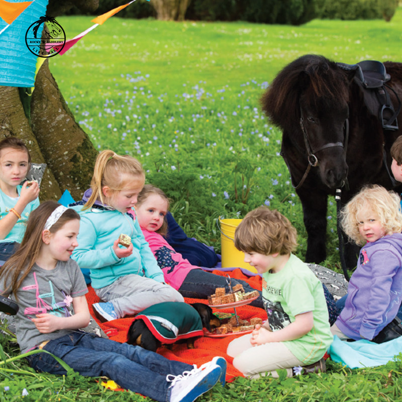 Article sports equestres HORSEWARE - Ref 1387239 Image 3