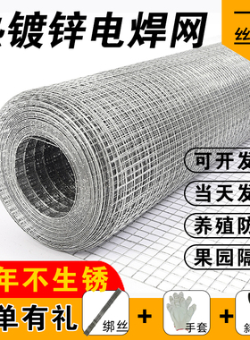 养殖网围栏阳台防护网热镀锌铁丝网果园防护钢丝网玉米网格电焊网