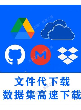 国外网站网盘代下文件下载drive云盘数据集代下载视频网站文献