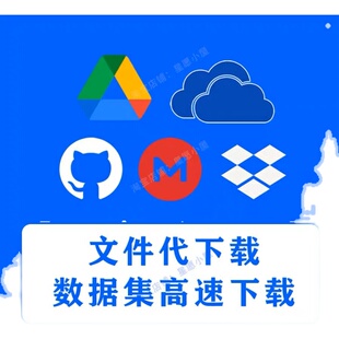 国外网站网盘代下文件下载drive云盘数据集代下载视频网站文献