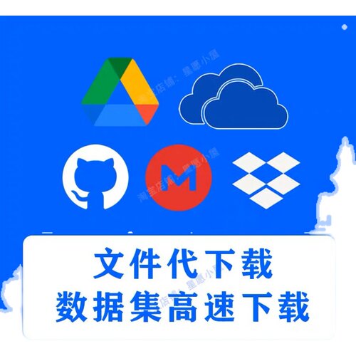 国外网站网盘代下文件下载drive云盘数据集代下载视频网站文献