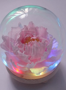 【通草花开】纯手工制作非遗通草花定制通草纸牡丹花灯球限量版