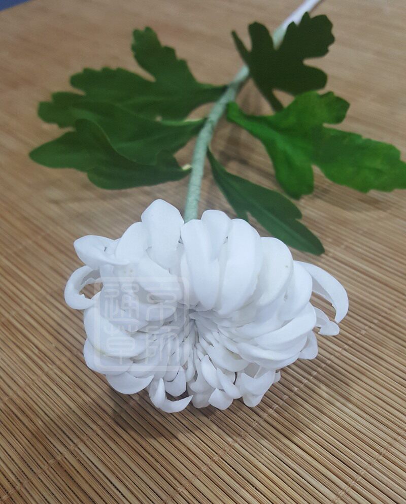【通草花开】定制纯手工制作非遗通草花通草纸白菊花私人定制