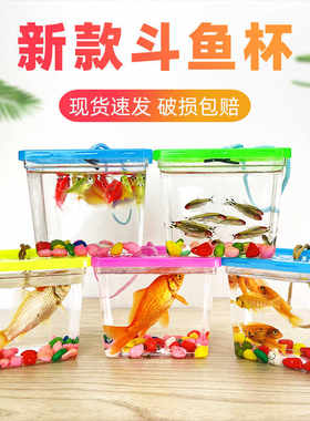 带盖手提款斗鱼杯宠物盒小型鱼缸