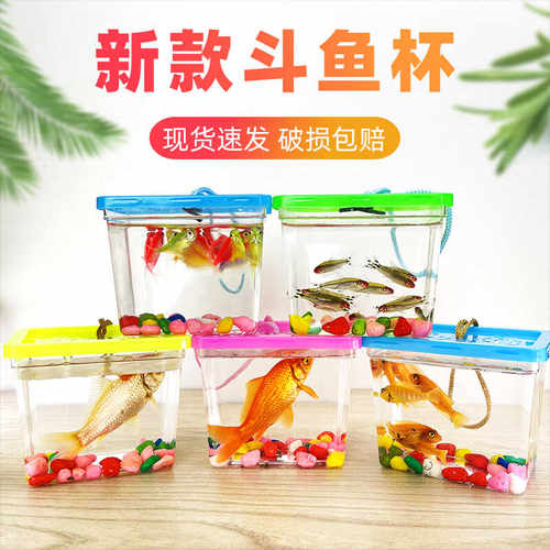 带盖手提款斗鱼杯宠物盒小型鱼缸
