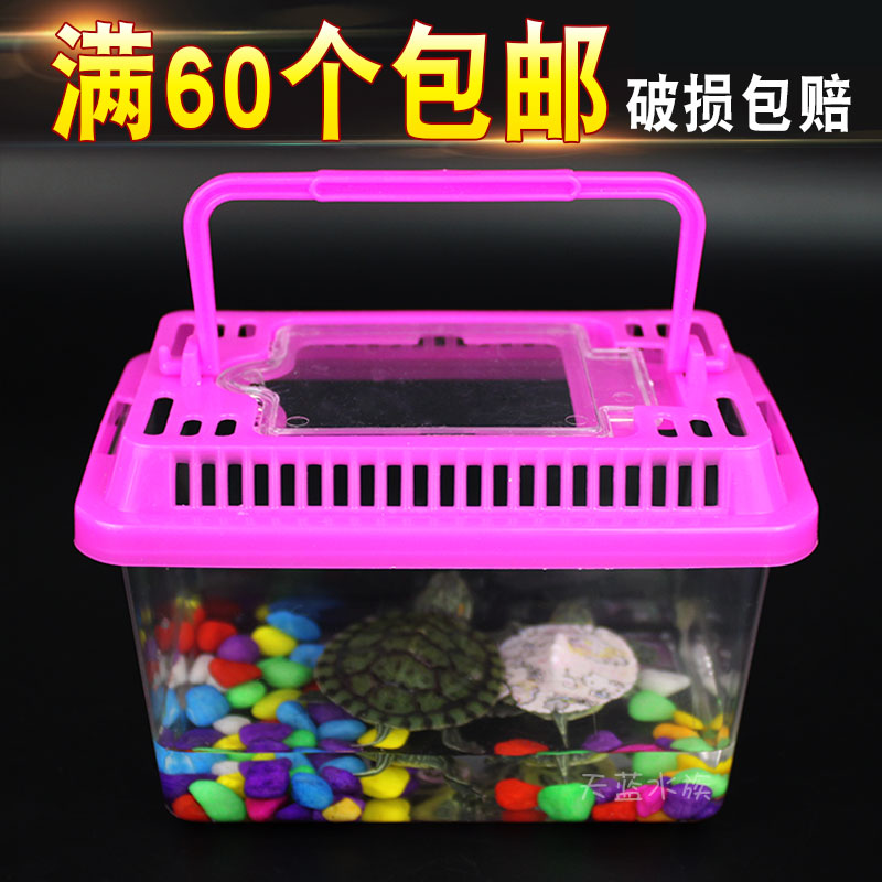 塑料斗鱼杯透明乌龟盒