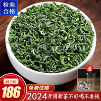 日照绿茶2024新茶散装特级高山云雾茶叶正宗绿茶罐装毛尖春茶500g