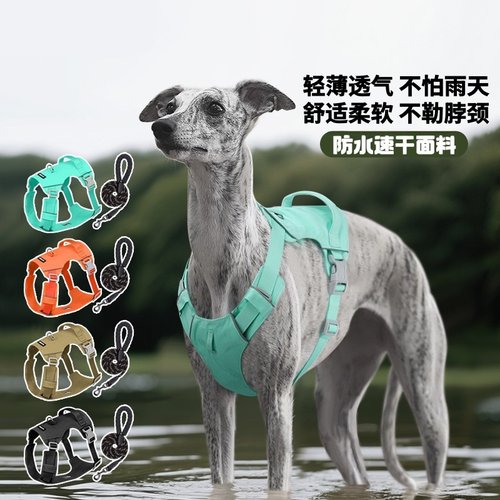 宠物狗狗牵引绳防雨天遛狗牵引绳