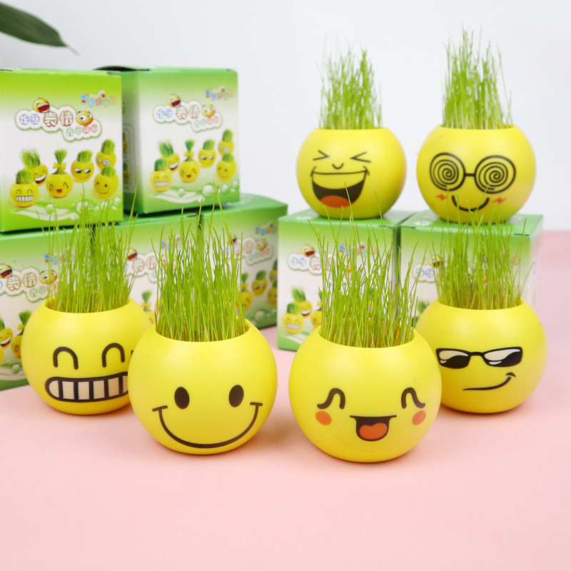 植物办公桌盆栽小草盆栽表情盆栽学生小礼品奖品随手礼QQ表情栽培