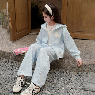 女童春秋款套装2026新款女大童韩系穿搭两件套儿童休闲超好看衣服