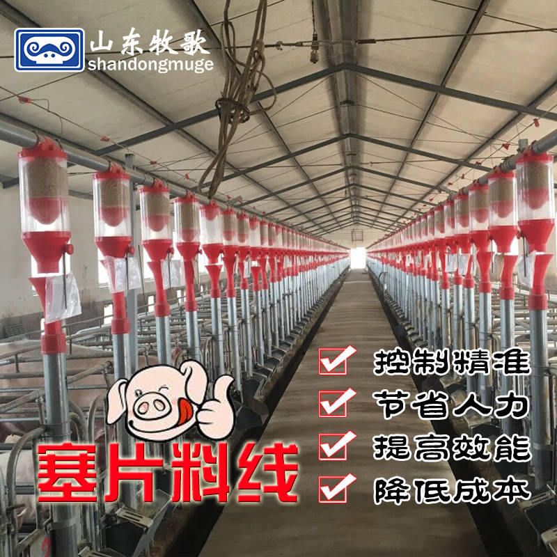 猪场全自动定位栏
