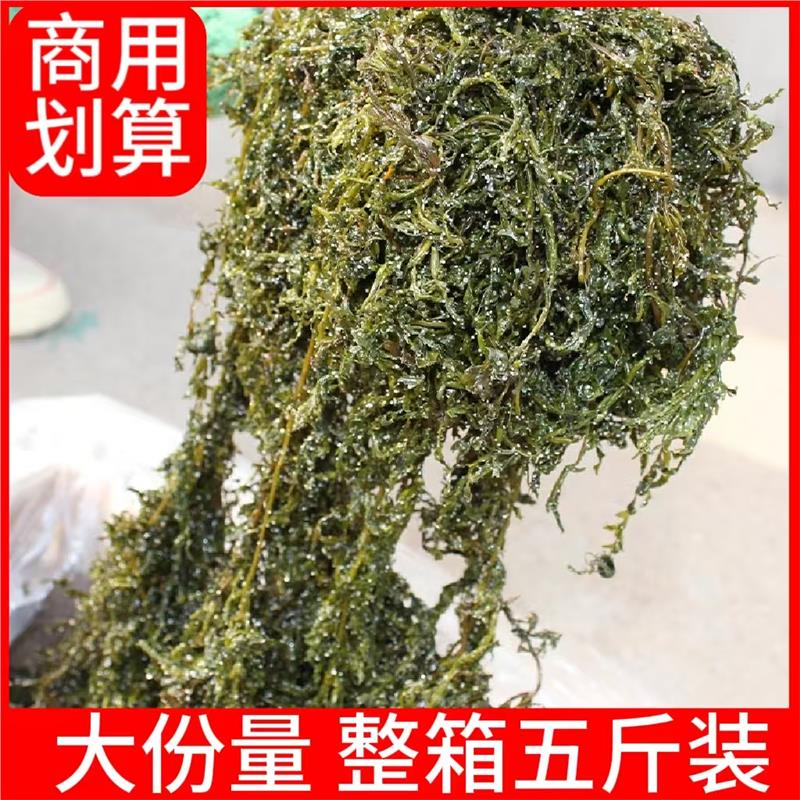 盐渍鞭炮笋新鲜马尾藻长寿菜盐渍海藻菜凉拌火锅海带商用家用