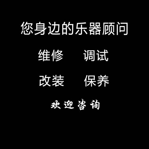 专业维修各种乐器问题