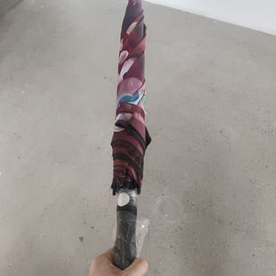 脑叶公司拟态伞痛伞月亮计划废墟图书馆脑叶公司周边自动雨伞长柄